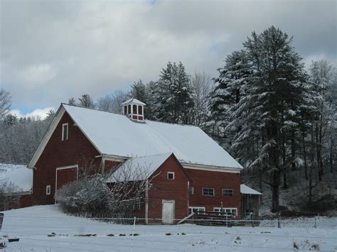 Animal Instinct: Christmas Snow Barns