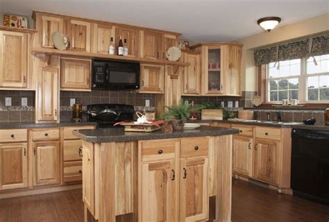 Love these cabinets and dark counter from Home Depot | Kitchen renovation, Rustic kitchen ...