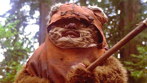 Star Wars: What Happened To Wicket The Ewok After Return Of The Jedi?