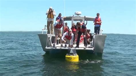 Maine researchers use new technology to track sharks off coast