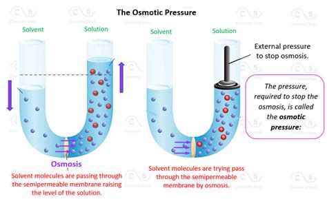 Osmotic Pressure - Chemistry Steps