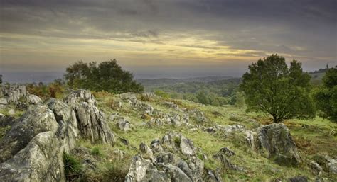 Charnwood Forest Living Landscape | The Wildlife Trusts