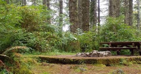 Hebo Lake Campground Camping | Beaver, OR | The Dyrt