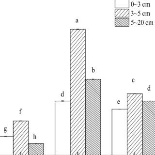 Nitrification activity in different soil layers in all the flooded... | Download Scientific Diagram