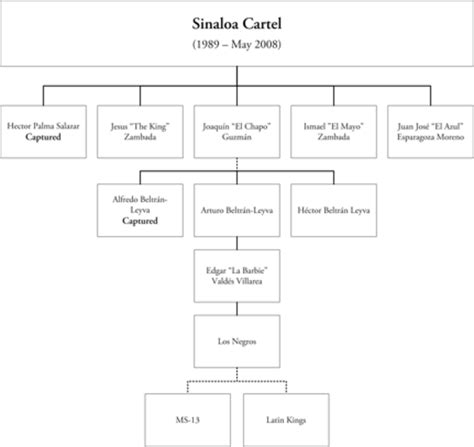 The Sinaloa Cartel: Drug Trafficking & Extensive Global Influence ...