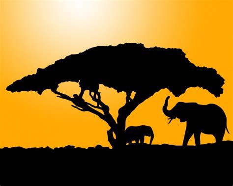 Elephant Silhouette At Sunset Free Stock Photo - Public Domain Pictures