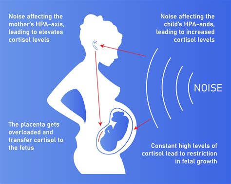 Loud Noises And Pregnancy | Exposure To Loud Noises While Pregnant