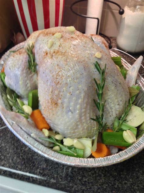 Roasting My First Turkey: How To Clean, Brine, Roast A Turkey And Make ...