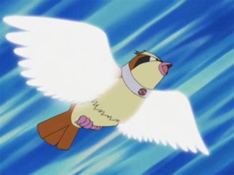 Image - Trainer School Pidgey Wing Attack.png | Pokémon Wiki | Fandom ...