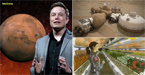 Elon Musk's vision of self-sustaining city on Mars explained - NeoPress