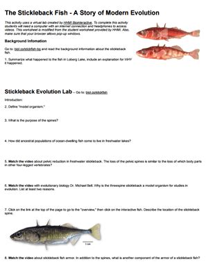 Stickleback Fish: An Evolution Story About Adaptation