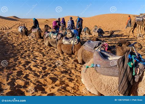 Camel Caravan in Sahara Desert Editorial Image - Image of sand, tour ...