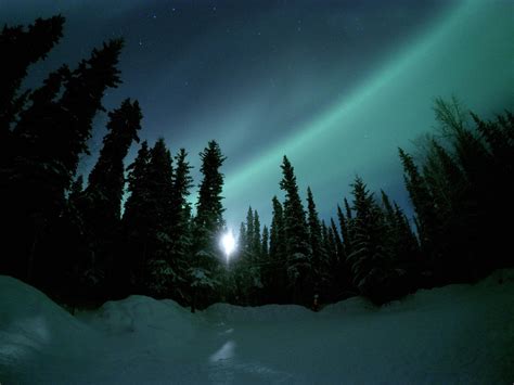 The Aurora, salcha, Alaska. January 2017. -52°f when picture was took. Totally worth it! : BeAmazed