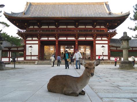 Nara – The Ancient Beginnings of Japan | Skyewalkers Japanese ...