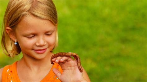 These Insect Species Make For Good Pets