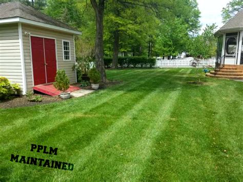 Best Lawn Care Service in Virginia! - Picture Perfect Lawn Maintenance