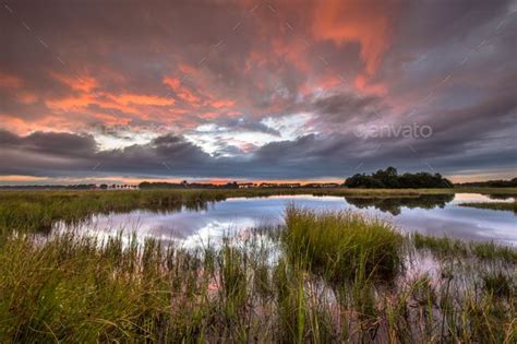 Dramatic sunset over marshland in natural landscape by CreativeNature_nl. Dramatic sunset over ...