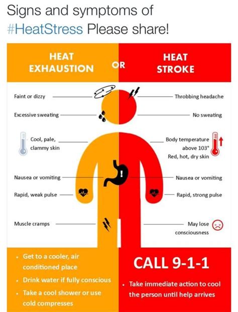 How high can internal temperature of the human body temperature go? | Socratic