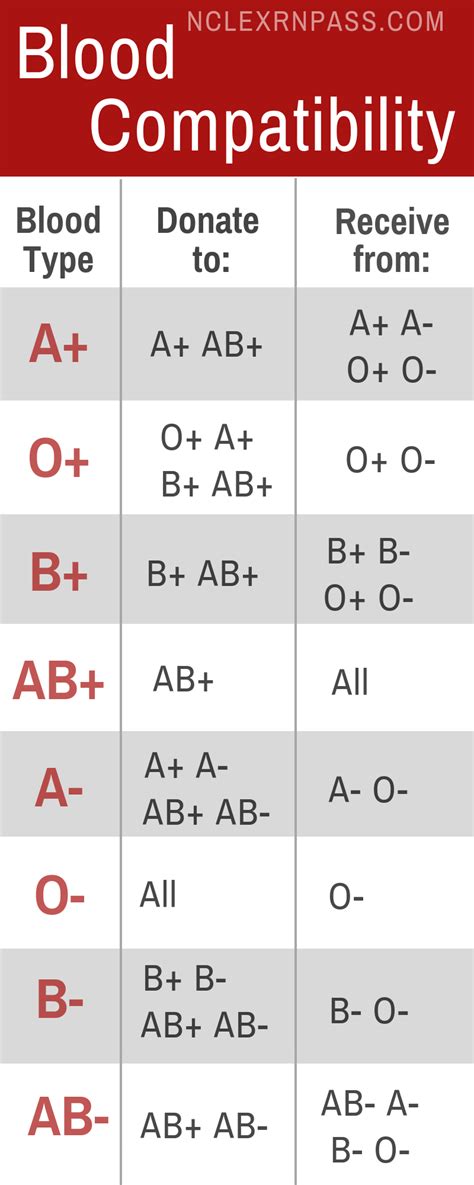 Ab Blood Type Meaning - Blood Type Info