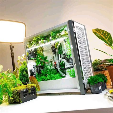 a desktop computer sitting on top of a desk covered in plants
