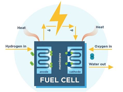 Fuel Cell Working Principle – StudiousGuy