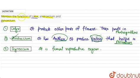 Mention the function of calyx, androecium and gynoecium. - YouTube