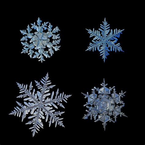 Macro Photos of Snowflakes Show Impossibly Perfect Designs