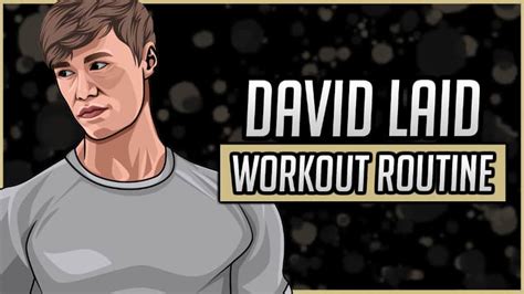 David Laid's Workout Routine & Diet (Updated 2024) - Jacked Gorilla