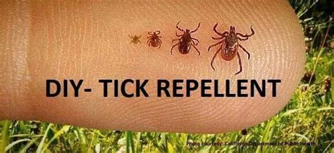 Tick repellent | Tick repellent, Ticks, Repellent