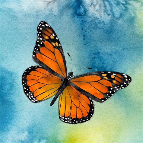 Monarch Butterfly. Watercolor depiction of a Monarch butterfly flying ...