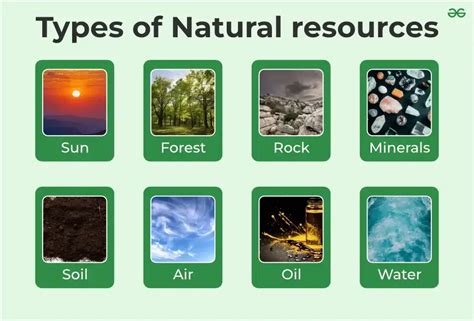 Natural Resources - Definition, Types, and Examples