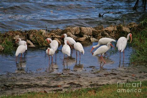 Snowbirds Still Flocking to South Florida