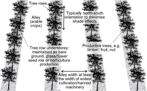 Strip Cropping Diagram