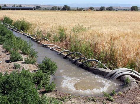 Bighorn Irrigation Photos