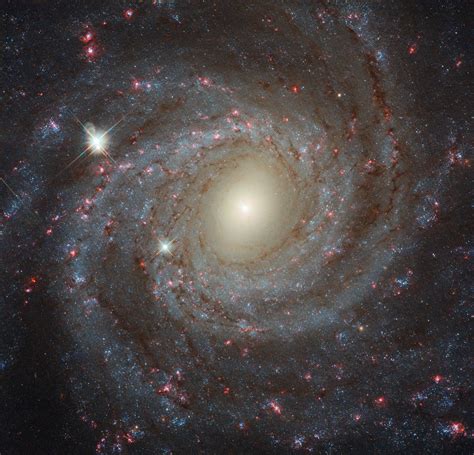 Newly Released Hubble Image of Spiral Galaxy NGC 3344