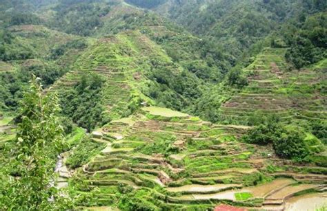 Cordillera Region Pictures - Traveler Photos of Cordillera Region ...