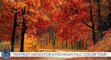 Ten Must-Haves for a Michigan Fall Color Tour