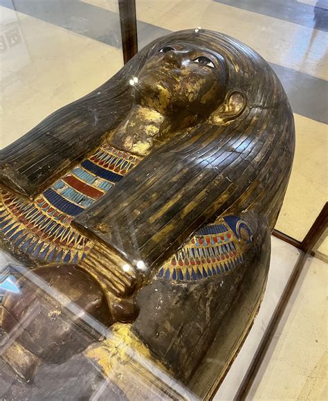 A few of the mummies in the Egyptian Museum, Cairo : r/travelphotos