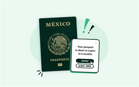 How to Renew a Mexican Passport in USA [2024 Fees & More]