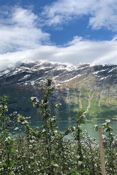 FJORD - SKANDINAVISK | Fjord, Nature, Scandinavia