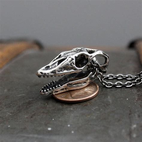 Komodo Dragon Skull