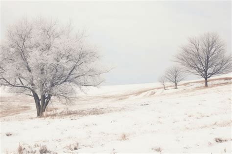 Grass Frost Images | Free Photos, PNG Stickers, Wallpapers ...