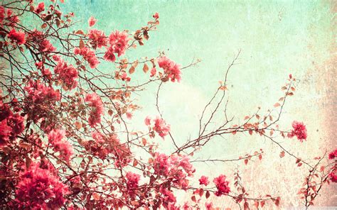 Vintage Flowers Wallpapers - Wallpaper Cave