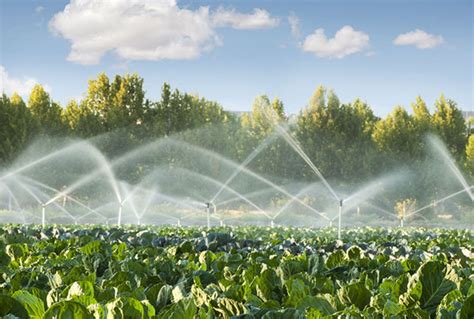 Sprinkler Irrigation: Benefits, Problems and Solutions - Mazero ...