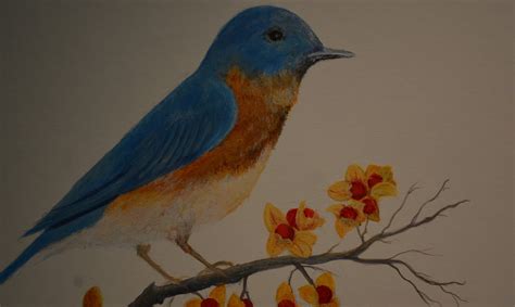 Painting An Eastern Bluebird In Acrylic (2)