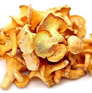 chanterelle mushrooms uk - buy chanterelle mushrooms uk