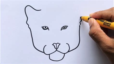 Easy Jaguar Head Drawing