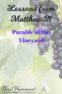 Lessons from Matthew 21: Parable of the Vineyard - Terri Hamman | Biblical encouragement ...