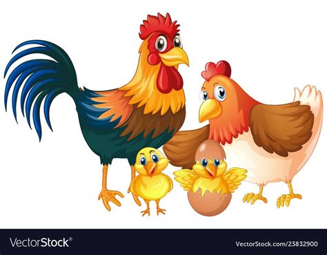 Isolated chicken family on white background illustration. Download a Free Preview or High ...