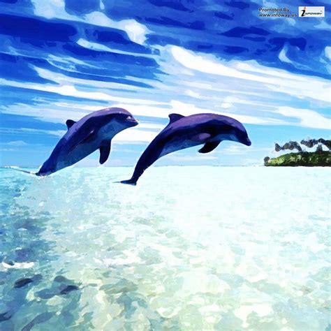 3D Dolphin Wallpaper - WallpaperSafari